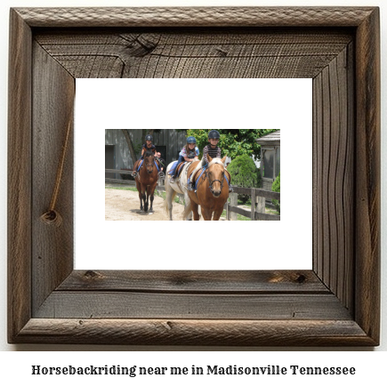 horseback riding near me in Madisonville, Tennessee